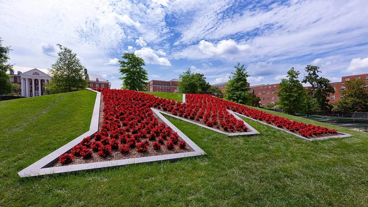 Since the 2008-09 academic year, 118 UMD undergrads have been selected as Boren Scholars, and 37 graduate students have been selected as Boren Fellows. The program aims to boost students' foreign language and international skills, and is sponsored by the National Security Education Program.